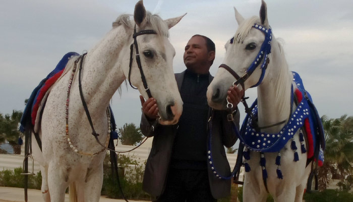 Monaliza the Appaloosa horse on a trail