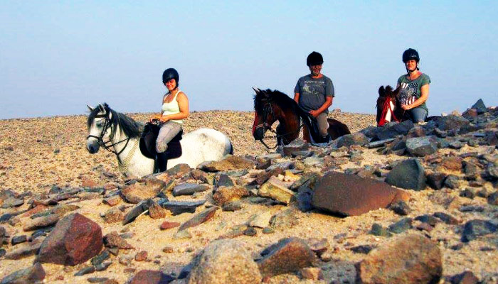 Beach horse riding along the Red Sea coast