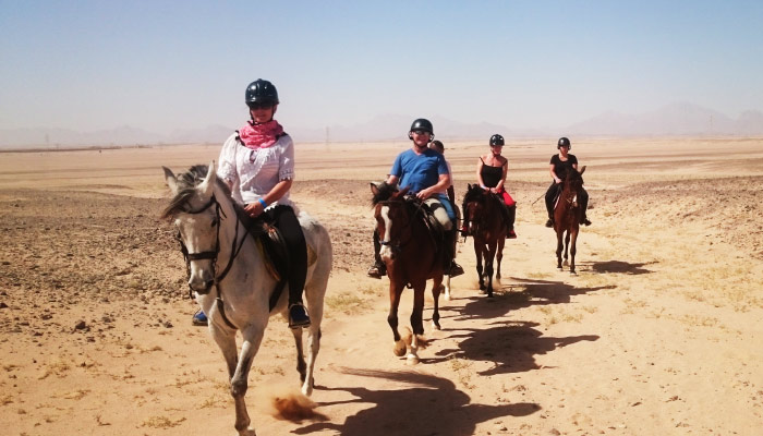 Desert trail horse riding at sunset