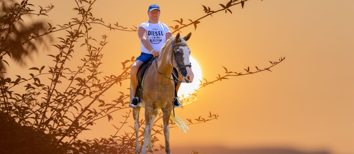 Nefertiti - noble Arabian